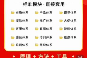 外面卖198·电商企业经营管理工具：全套执行落地方案 标准模块·直接套用