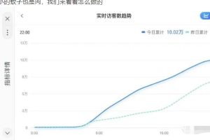 无货源店群教程，朋友圈那些几万访客的店是怎么做的